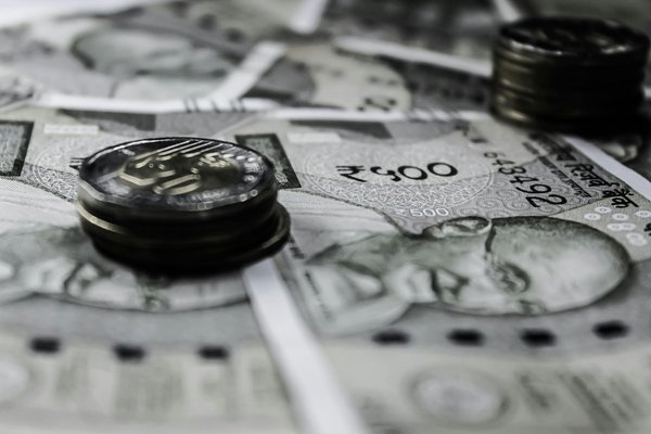 Assurance étudiant : ce qu'il faut savoir sur les animaux